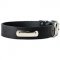 C456 - PRICE LEVEL 2 - Identification Leather Dog Collar for Walking and Training