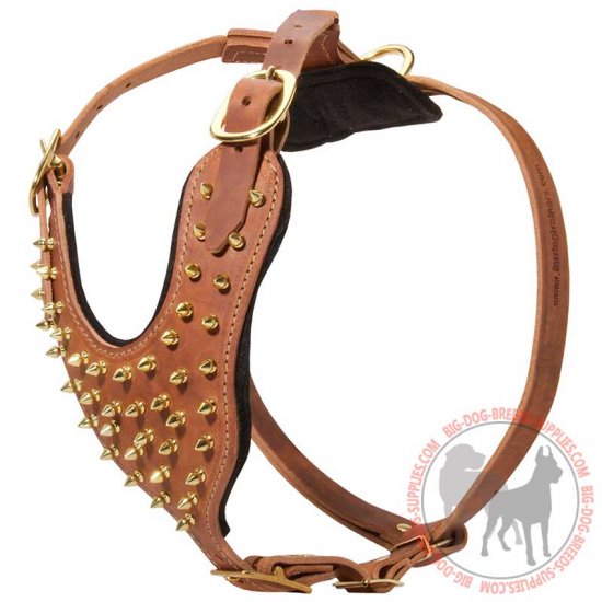 H9B - PRICE LEVEL 2 - Fashionable Leather Dog Harness For Stylish Walking And Training