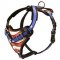 H1AP - PRICE LEVEL 2 - Training Leather Handpainted Dog Harness
