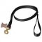 L9 - PRICE LEVEL 2 - Heavy Duty Dog Leash with Swivel Snap Hook