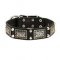 C85PN - PRICE LEVEL 2 - LEATHER DOG COLLAR with Studs and Vintage Plates