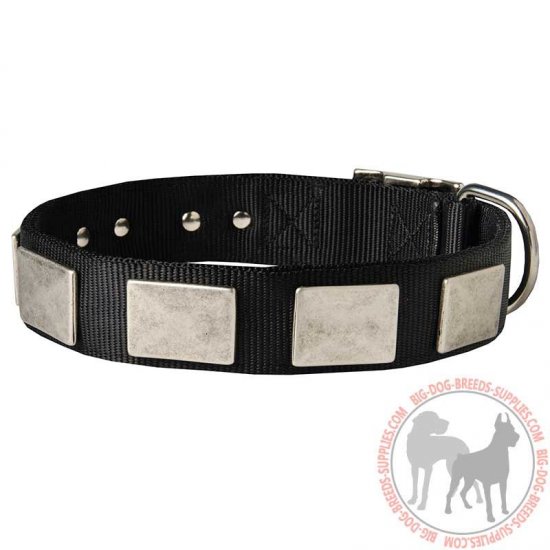 C274 - PRICE LEVEL 2 - All Weather Nylon Dog Collar With Vintage Massive Plates