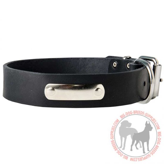 C456 - PRICE LEVEL 2 - Identification Leather Dog Collar for Walking and Training