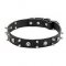 C57 - PRICE LEVEL 1 - Leather Dog Collar with Skulls and 2 Rows of Spikes