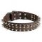 S60 - PRICE LEVEL 2 - Spiked and Studded Leather Dog Collar