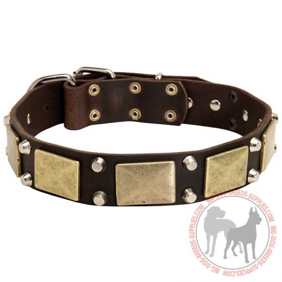 C85 - PRICE LEVEL 2 - Dog Collar With Decoration Of Brass Plates And Cones