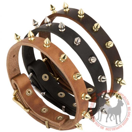 C110 - PRICE LEVEL 2 - Spiked Leather Dog Collar