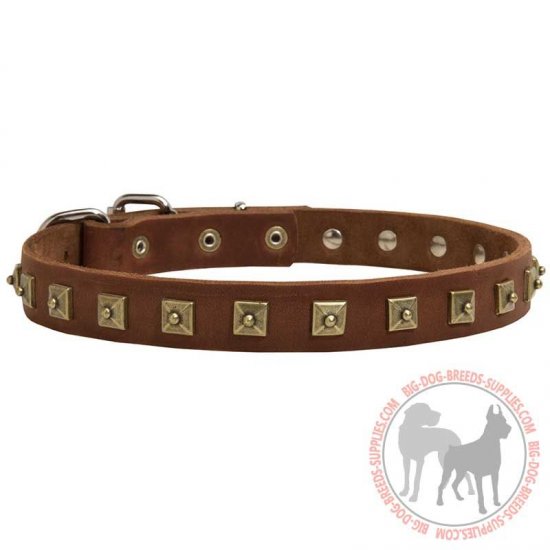 C25 - PRICE LEVEL 2 - Brass Studded Leather Canine Collar for Walking