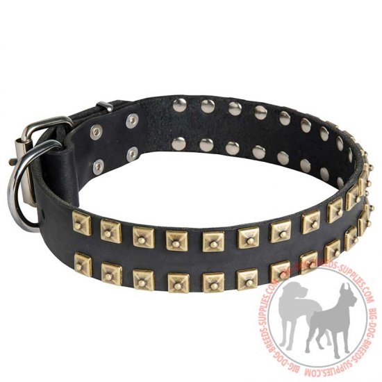 C99 - PRICE LEVEL 2 - Walking and Training Studded Leather Dog Collar "Caterpillar"