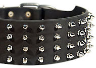 S99 - PRICE LEVEL 2 - 3 inch custom spiked collar