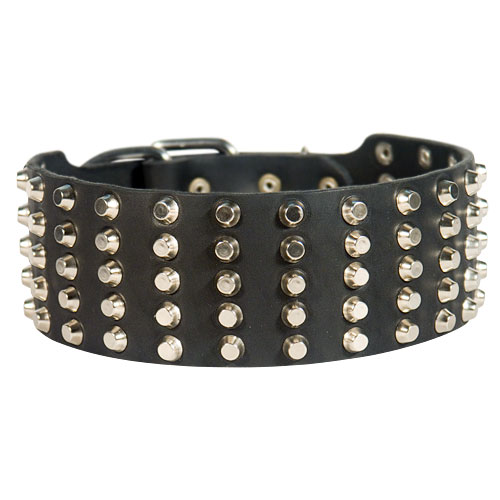 Leather Dog Collar for Mastiff