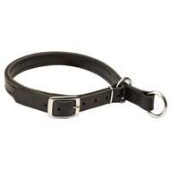 C1 - PRICE LEVEL 2 - Training Leather Slip Dog Collar w/h Solid Nickel Hardware