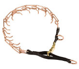 HS21 - PRICE LEVEL 1 - Curogan Dog Prong Collar with Nylon Loop and Quick Release Buckle