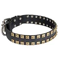 C99 - PRICE LEVEL 2 - Walking and Training Studded Leather Dog Collar "Caterpillar"