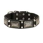 C85PN - PRICE LEVEL 2 - LEATHER DOG COLLAR with Studs and Vintage Plates