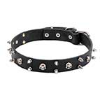 C57 - PRICE LEVEL 1 - Leather Dog Collar with Skulls and 2 Rows of Spikes