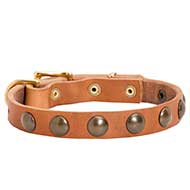 C113 - PRICE LEVEL 2 - Studded Puppy Leather Dog Collar