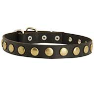 S27 - PRICE LEVEL 2 - Studded Leather Dog Collar