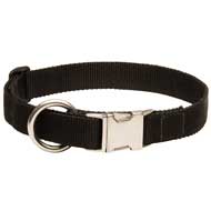 C98 - PRICE LEVEL 2 - All Weather Nylon Dog Collar for Training and Walking