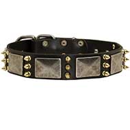 C87 - PRICE LEVEL 2 - Designed Leather Dog Collar For Stylish Pet Owners and Their Canines