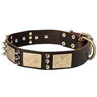 C84 - PRICE LEVEL 2 - Wide Leather Decorated Dog Collar with Vintage Plates and Spikes for Big Breeds