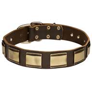 C88 - PRICE LEVEL 2 - Unusually Decorated Leather Dog Collar With Brass Plates
