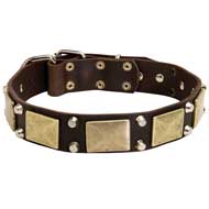 C85 - PRICE LEVEL 2 - Dog Collar With Decoration Of Brass Plates And Cones