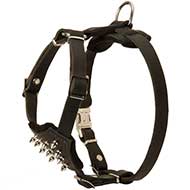 H23 - PRICE LEVEL 2 - Decorated Leather Dog Harness For Your Puppy