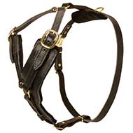 H10 - PRICE LEVEL 2 - Elegant Y-shaped Leather Dog Harness for Effective Training and Pleasant Walking