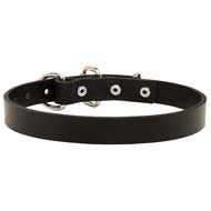 C2 - PRICE LEVEL 2 - Walking Smooth Leather Dog Collar for Every Day