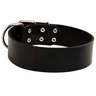 C5 - PRICE LEVEL 2 - Leather Dog Collar for Walking or Training