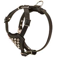 H24 - PRICE LEVEL 2 - Leather Studded Dog Harness for Puppy Walking