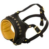 M64 - PRICE LEVEL 2 - The Newest First-rate Dog Muzzle with Brass studs