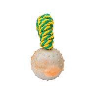 TT4 - PRICE LEVEL 2 - 2 inch Solid Rubber Dog training Ball on string