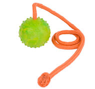 TT1 - PRICE LEVEL 2 - Solid Rubber Dog Training Ball on String