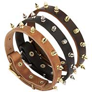 C110 - PRICE LEVEL 2 - Spiked Leather Dog Collar