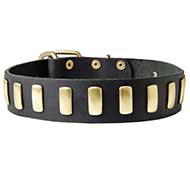 S26 - PRICE LEVEL 2 - Brass Plated Wide Leather Dog Collar