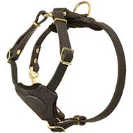 H2 - PRICE LEVEL 2 Training and Walking Puppy Leather Dog Harness