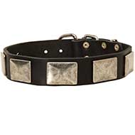 C83 - PRICE LEVEL 2 - Leather Dog Collar with Massive Nickel Plates Vintage Looking
