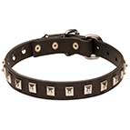 C26 - PRICE LEVEL 2 - Leather Canine Collar with 1 Row of Nickel Studs 25 mm wide