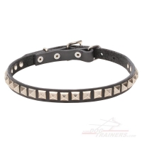 C65 - PRICE LEVEL 2 - 'King Studs' Leather Canine Collar with Chrome Plated Adornments