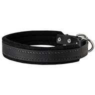C2425 - PRICE LEVEL 2 - Training & Walking Leather Canine Collar Padded with Natural Felt