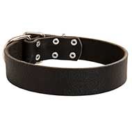 C4- PRICE LEVEL 2 - Practical Leather Canine Collar for Daily Activities