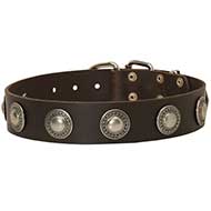 C73 - PRICE LEVEL 2 - Leather Dog Collar with Silver Conchos for Walking and Training