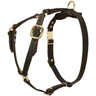 H7 - PRICE LEVEL 2 - Leather Dog Harness for Tracking, Walking and Training