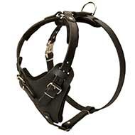 H1 - PRICE LEVEL 2 - Leather Harness with Wide Chest Plate
