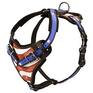 H1AP - PRICE LEVEL 2 - Training Leather Handpainted Dog Harness