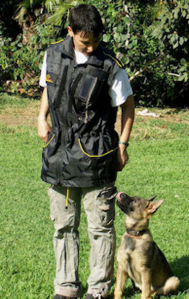 Nylon Dog Trainer Vest for Training your dog