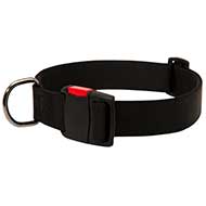 C41 - PRICE LEVEL 2 - Walking Water-proof Nylon Dog Collar with Quick Release Buckle