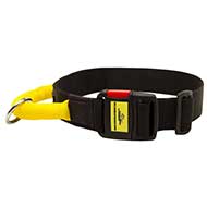 C46 - PRICE LEVEL 2 - Nylon Dog Collar with Strong Handle and Quick Release Buckle